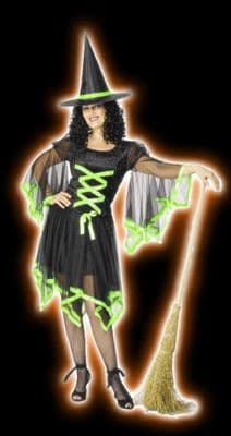 Halloween Ladies Green Winsome Witch Costume