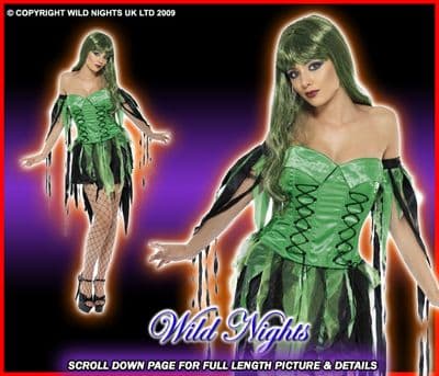Halloween Ladies Naughty Fairy Witch Costume