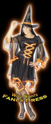 Halloween Ladies Orange Winsome Witch Costume