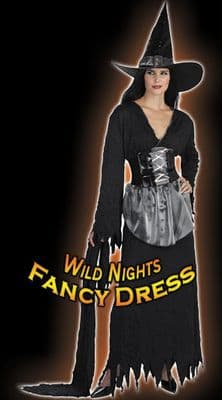 Halloween Ladies Ritzy Witch Costume