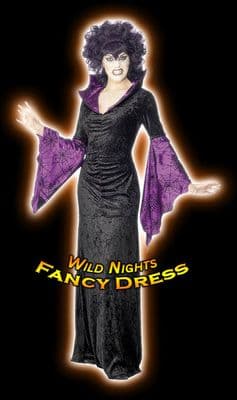 Halloween Ladies Spider Queen Costume