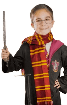 Harry Potter Scarf Fancy Dress Accessory