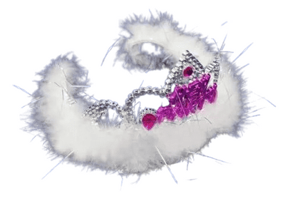 Hen Party Tiara Party Headwear