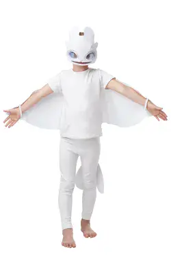 How to Train Your Dragon - Light Fury Dragon