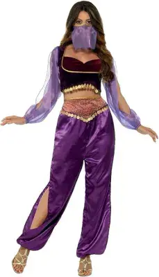 Ladies Arabian Princess Costume