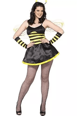 Ladies Honey Bee Costume