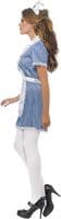 Ladies Naughty Nurse Costume
