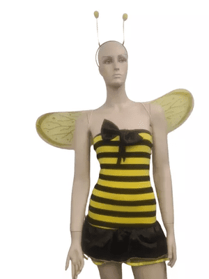 Ladies Sexy Bee Lady Size 8-10