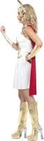 Ladies She-Ra Costume