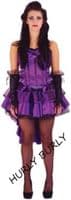 Ladies Tease Burlesque Dress 1920s Flapper Costume Fancy Dress Assorted