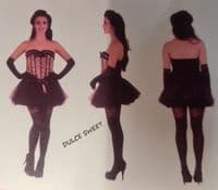 Ladies Tease Burlesque Dress 1920s Flapper Costume Fancy Dress Assorted