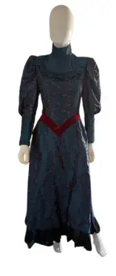 Ladies Victorian Lady Costume.