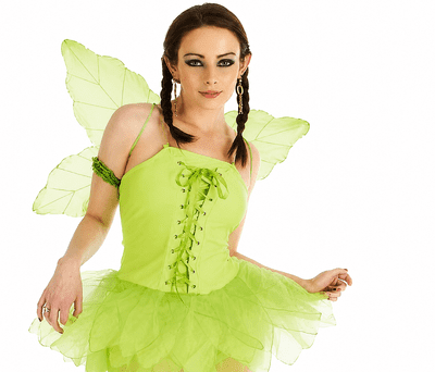 Ladies Woodland Pixie Fairy Costume Adult Fancy Dress with Wings