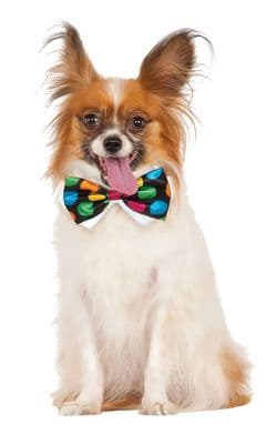 Pet Accessory Polka Dot Bowtie