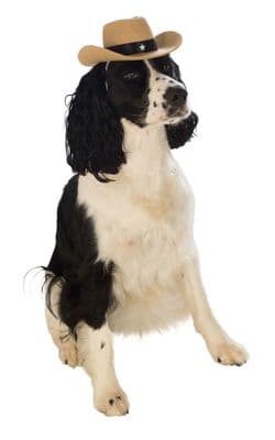 Pet Costume - Brown Cowboy Hat