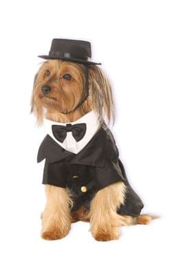 Pet Costume - Dapper Dog