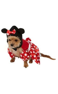 Pet Costume - Disney Minnie Mouse