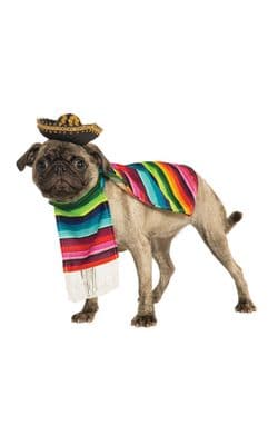 Pet Costume - Mexican Serape