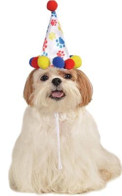 PET Paw Print Birthday Hat
