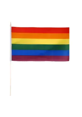 Rainbow Flag On A Stick