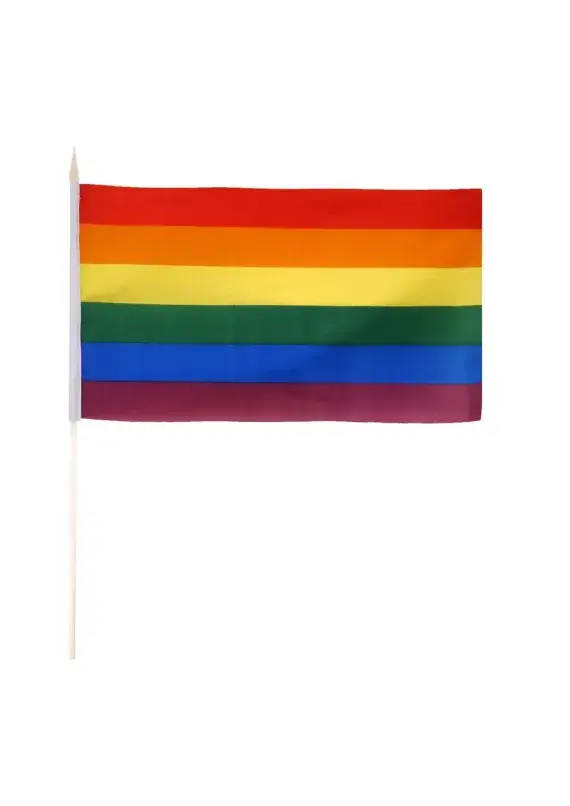 Rainbow Flag On A Stick