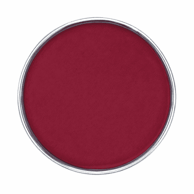 Snazaroo Burgundy Face Paint 18ml Water Based Professional Face & Body Paint