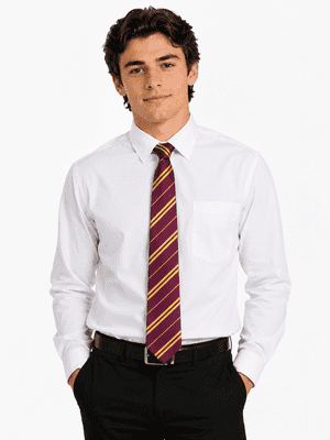 Unisex Wizard School Tie Maroon Gold Striped Fancy Dress Costume Accessory