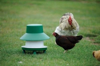 Cheney/Hassop Chicken Feeder 6kg