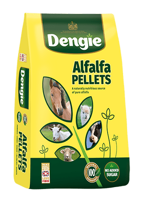 Dengie Alfalfa Pellets 20kg