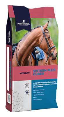 Dodson & Horrell Sixteen Plus Cubes