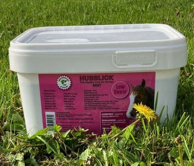 Hubblick Mint Horse Lick 1KG-5KG