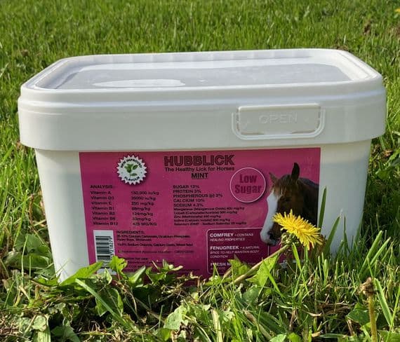 Hubblick Mint Horse Lick 1KG-5KG
