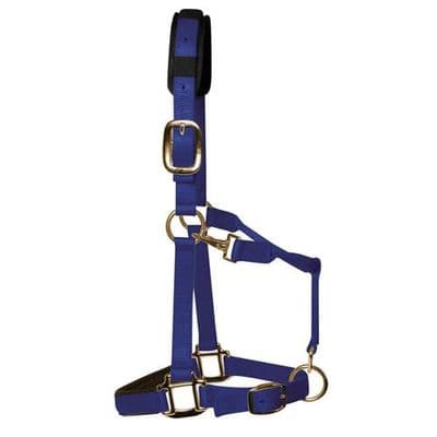 KM Elite Luxury Headcollar