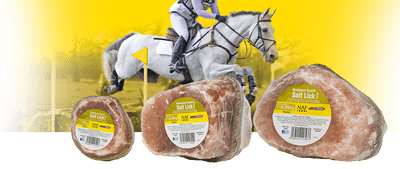 NAF Himalayan Salt Lick