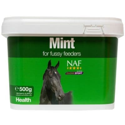 NAF Mint 500g