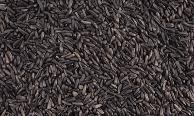 Niger Seed