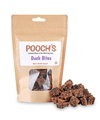 Pooch's Duck Bites