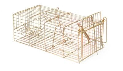 Racan Humane Rat Trap