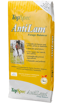 Topspec Antilam 15kg