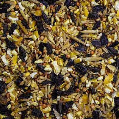 Wheat Free Wild Bird Mix