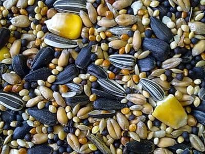 Wild Bird Seed Premium 20kg