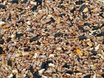 Wild Bird Seed
