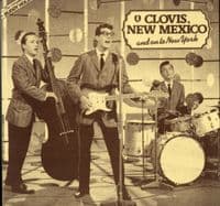 Buddy Holly - The Complete Buddy Holly  - 6 x LP Box Set