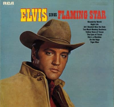 Elvis Presley - Germany - Elvis Sings Flaming Star (INTS 1012) Ex/M-