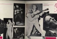 Elvis Presley - Italy - Elvis The Pelvis (NL 89515) 2 x LP Set - M-