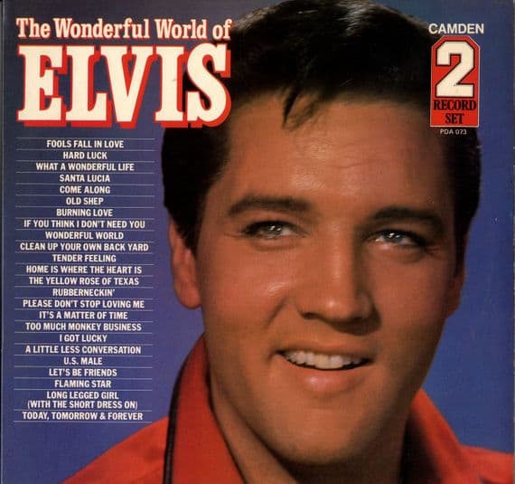 Elvis Presley - The Wonderful World Of Elvis (PDA 073) 2 LP Set - M-