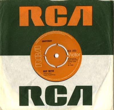 Grapefruit - Deep Water/Come Down To The Station (1855)