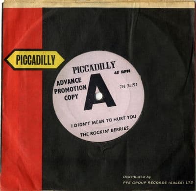Rockin' Berries,The - I Didn't Mean To Hurt You/You'd Better Come Home (7N 35197)  Demo - M-