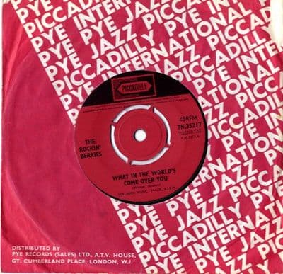 Rockin' Berries,The - What In The World's Come Over You/You Don't Know What You Do (7N 35217)