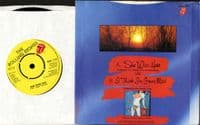 Rolling Stones,The - She Was Hot/I Think I'm Goig Mad (RSR 114) Ex/Ex